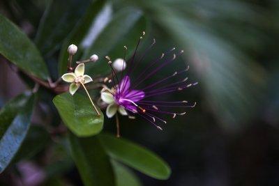 IMG_8256 копия.jpg