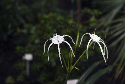 IMG_8259 копия.jpg