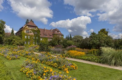 IMG_8527 копия.jpg