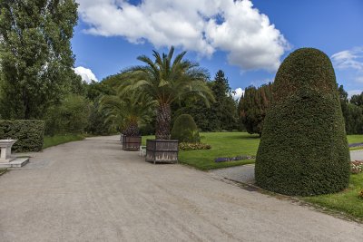 IMG_8550 копия.jpg