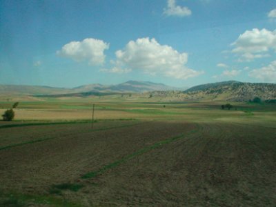 post-16794-1179678232.jpg