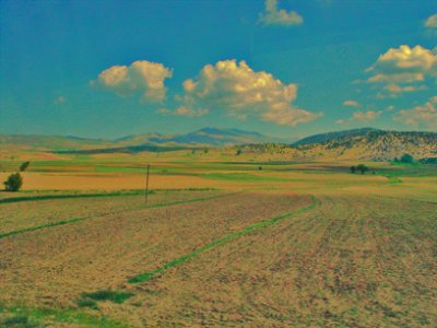 post-16794-1179678234.jpg