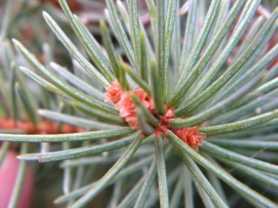 Изображение 454.jpg