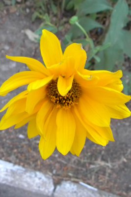 Изображение 469.jpg