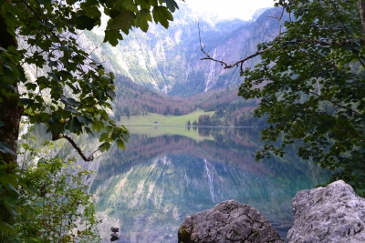 DSC_0595.JPG