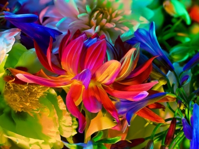 electricblossom01.jpg