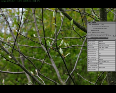 exif.jpg