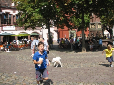 Freiburg 2012