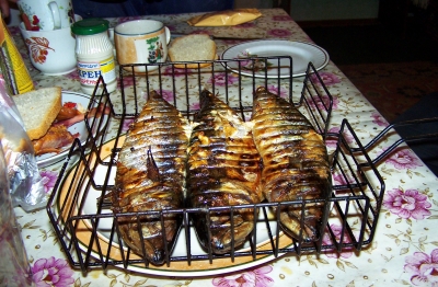 100_8820.JPG