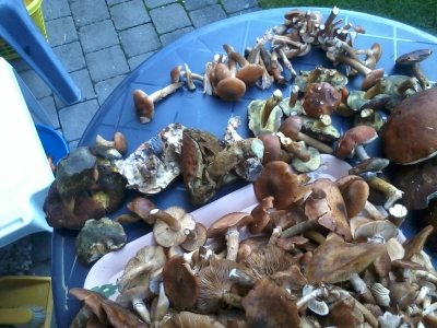 2013-10-19 14.43.40.jpg