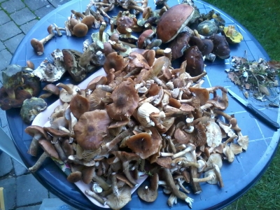 2013-10-19 14.43.33.jpg