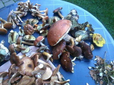 2013-10-19 14.43.37.jpg