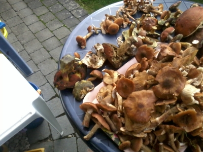 2013-10-19 14.43.51.jpg