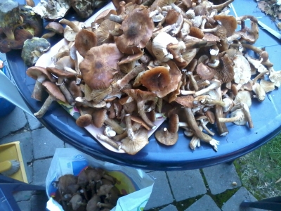 2013-10-19 14.43.42.jpg