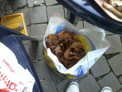 2013-10-19 14.43.45.jpg