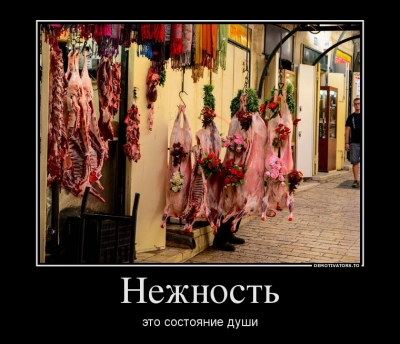 24624092_nezhnost.jpg