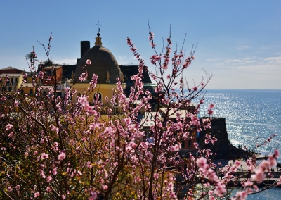 вернаццы немножко ещё.jpg