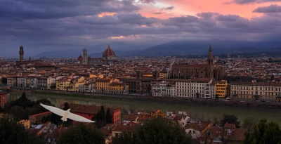 флоренция цапля.jpg