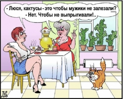 110855686_2.jpg