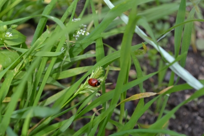 DSC_0182.JPG