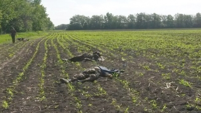 _gkh5uxv6jw.jpg