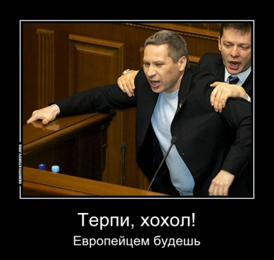 2c54e7fd2317d1f8e6287e58e690b383.jpg