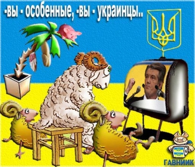 barany.jpg