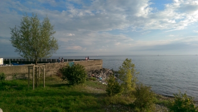 IMAG0102.jpg