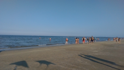 IMAG0342.jpg