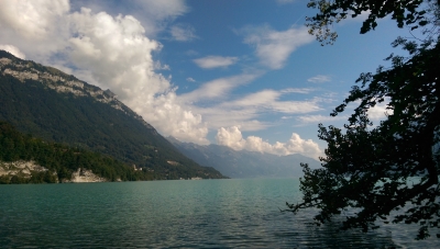 IMAG0215.jpg