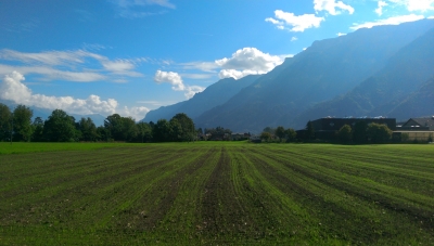 IMAG0204.jpg