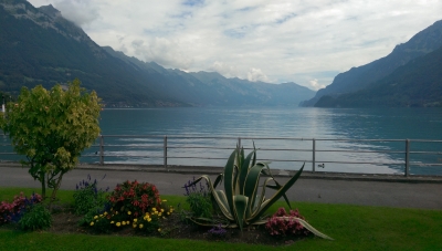 IMAG0227.jpg