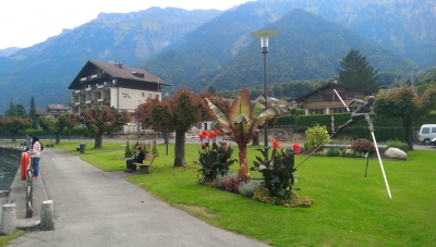 IMAG0233.jpg