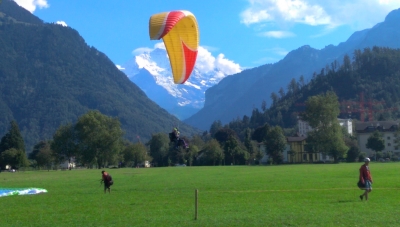 IMAG0252.jpg