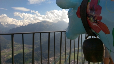 IMAG0303.jpg
