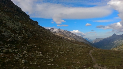 IMAG0313.jpg