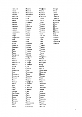 Видео Дед Мороз-page-2.jpg