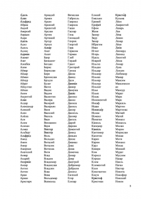 Видео Дед Мороз-page-3.jpg