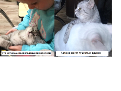 Фото_Семы_2_и_3.png