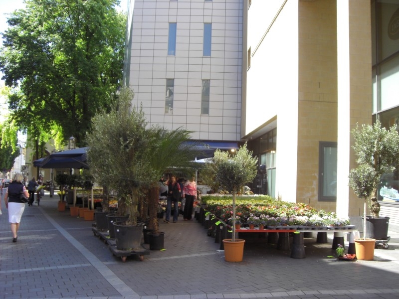 фотографии Бонн Bonn